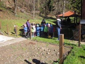 IMG_0932